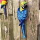 Blauwe papegaai, gietijzer -papegaai -tuin deco-vogel - 0 - Thumbnail