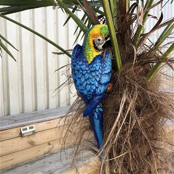 Blauwe papegaai, gietijzer -papegaai -tuin deco-vogel - 1