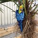 Blauwe papegaai, gietijzer -papegaai -tuin deco-vogel - 1 - Thumbnail