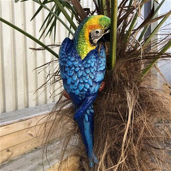 Blauwe papegaai, gietijzer -papegaai -tuin deco-vogel - 2