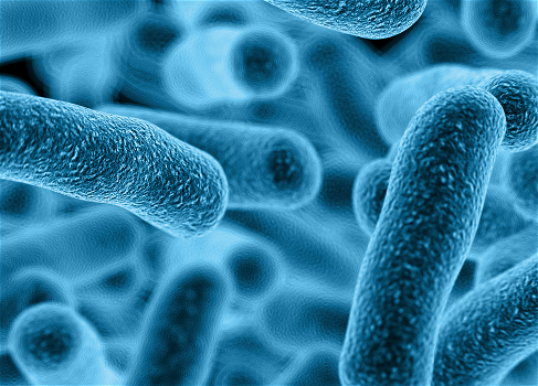 E-learning Training legionella - 0