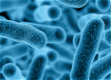 E-learning Training legionella - 0 - Thumbnail