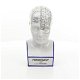 PHRENOLOGY HOOFD-BLAUW KLEURI -PORSELEIN - 5 - Thumbnail