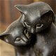 Knuffelende katten -charmante katten-kat poes - 2 - Thumbnail