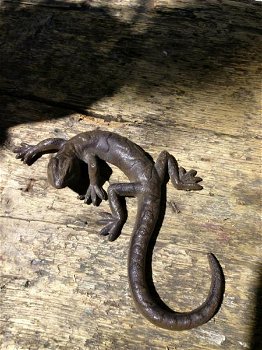 Salamander - mooie hagedis, decoratie, Gecko, kado - 1