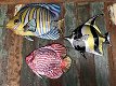 Set van 3 wandvissen metaal vol in kleur-vis-vissen - 5 - Thumbnail