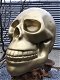 Zeer grote anatomische skull-schedel, uit Polystein-Gold. - 0 - Thumbnail