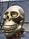 Zeer grote anatomische skull-schedel, uit Polystein-Gold. - 2 - Thumbnail