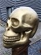 Zeer grote anatomische skull-schedel, uit Polystein-Gold. - 6 - Thumbnail