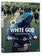 White God (DVD) Nieuw/Gesealed - 0 - Thumbnail