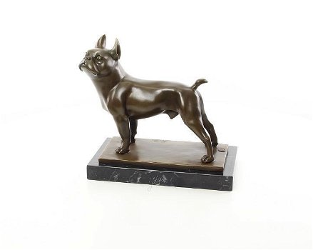 Een bronzen beeld van een franse bulldog-bulldog-hond - 1