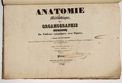 Anatomie Methodique ou Organographie Humaine 1829 15 Platen - 2