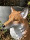 Vos-Prachtige vos zittend- prachtig ook voor in de tuin. - 5 - Thumbnail