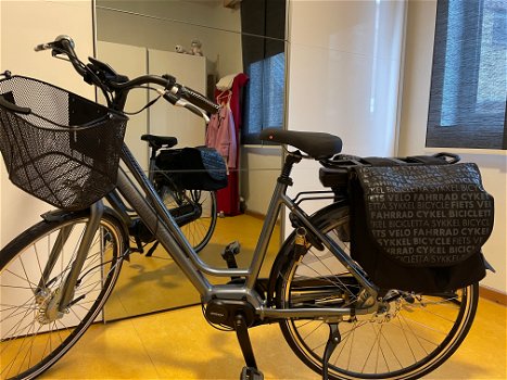 Elektrische damens fiets 25klper uur flouwbike - 0