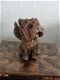 Westy hondenbeeldje met vleugels op urn als set te koop - 2 - Thumbnail