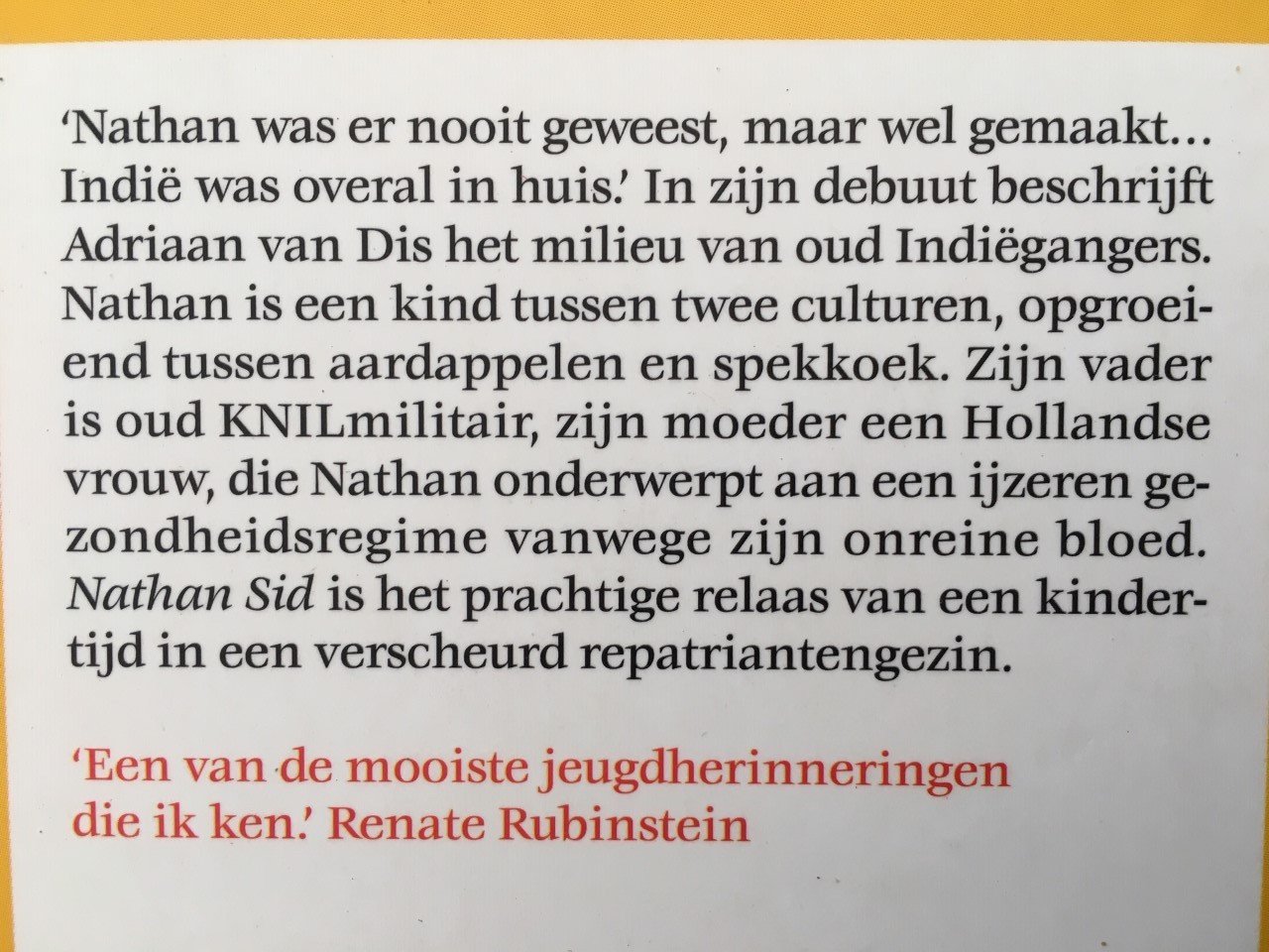 Nathan Sid - Adriaan van Dis - Afbeelding 2
