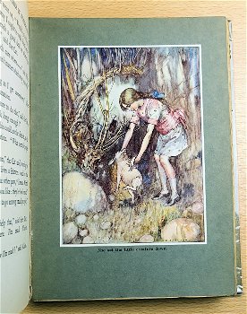 Alice’s Adventures in Wonderland - Lewis Carroll Jackosn ill - 5