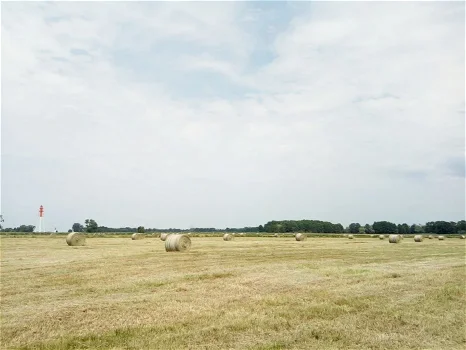 June hay bales - 0