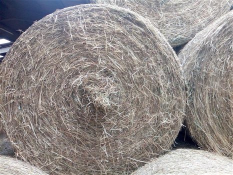 June hay bales - 3