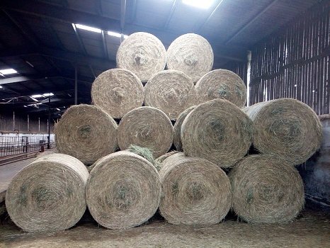 June hay bales - 5