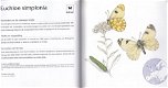 Vlinders - 2 - Thumbnail