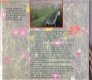De wilde Bloemen Tuin - 1 - Thumbnail
