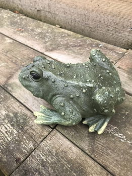 Een leuke en decoratieve kikker-gemaakt van polystein-kikker - 1