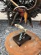 Een metalen kunstwerk-adelaar-vis vangt IRON EAGLE - 0 - Thumbnail