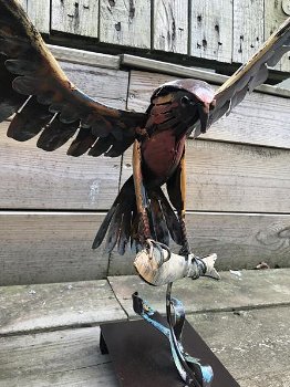 Een metalen kunstwerk-adelaar-vis vangt IRON EAGLE - 1