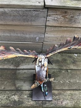 Een metalen kunstwerk-adelaar-vis vangt IRON EAGLE - 3