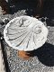 Een mooi vogelbad in de vorm van een schelp, vol steen - 2 - Thumbnail
