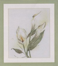 Borduurpakket Lanarte CALLA Nieuw!