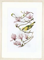 Borduurpakket LANARTE VOGELTJE in MAGNOLIA NIEUW!