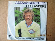 a0081 alexander curly - hollanders