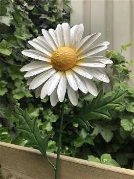 Metalen margriet als mooie decoratie in de tuin-bloem-kado - 5