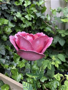 Metalen roos, leuke decoratie voor in de tuin- roos-kado