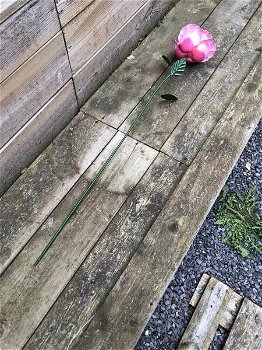 Metalen roos, leuke decoratie voor in de tuin- roos-kado - 5