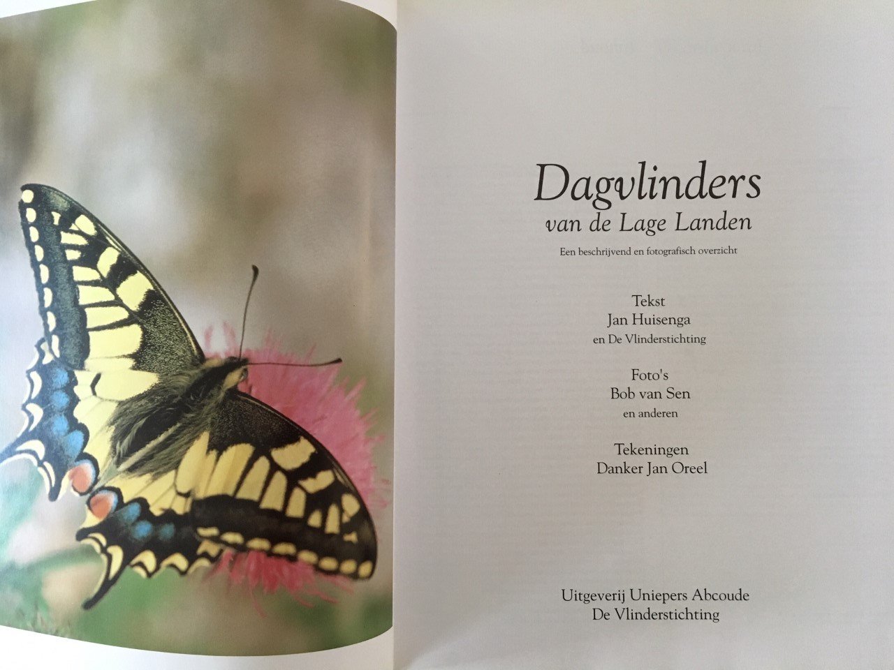 Dagvlinders in de Lage Landen - Jan Huisenga - Afbeelding 2