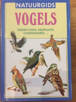 Natuurgids Vogels (Hardcover/Gebonden) - 0