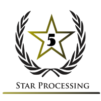 Accept Payment Securely With 5 Star Processing