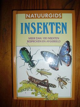 Natuurgids Insekten (Hardcover/Gebonden) - 0