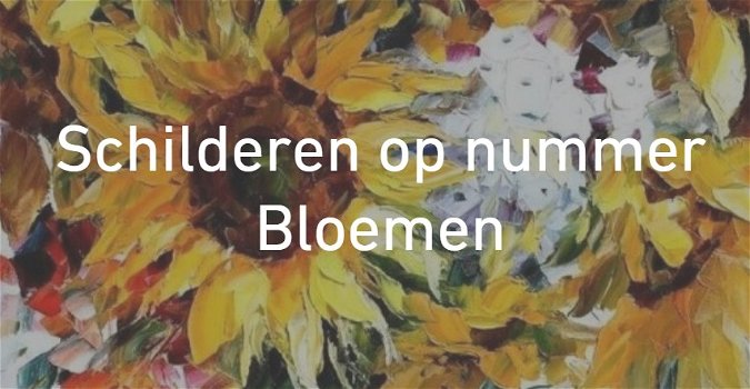 Schilderen op Nummer Bloemen - 0