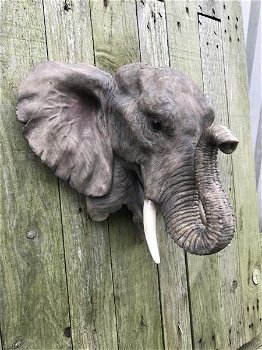Een fraai wandornament van een olifantenkop,in detail - 0