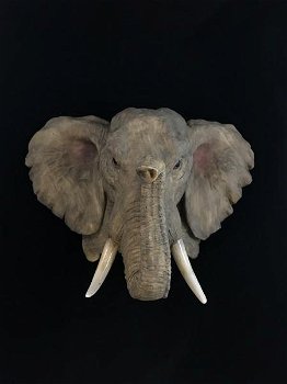 Een fraai wandornament van een olifantenkop,in detail - 4