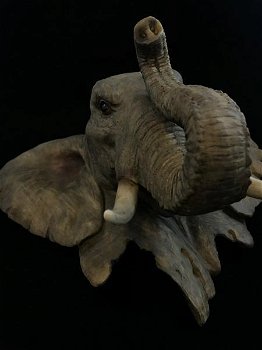 Een fraai wandornament van een olifantenkop,in detail - 5