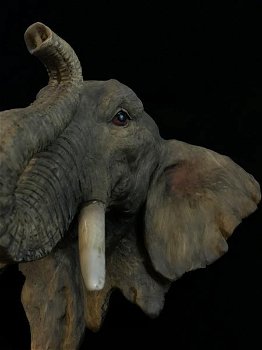 Een fraai wandornament van een olifantenkop,in detail - 6