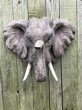 Een fraai wandornament van een olifantenkop,in detail - 7