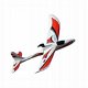 EZ Hawk Electrische RC vliegtuig 3CH RTF Brushless - 0 - Thumbnail