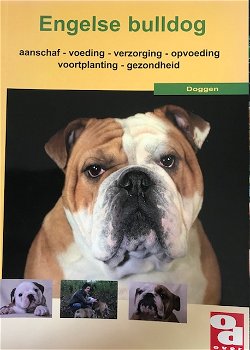 Engelse Bulldog, Over dieren - 0