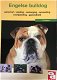 Engelse Bulldog, Over dieren - 0 - Thumbnail